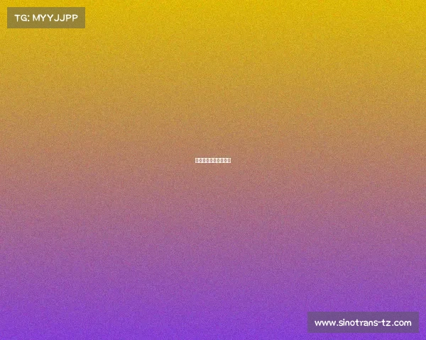 大话电子商务有限公司